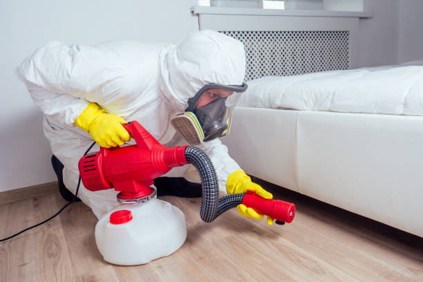 Professional Pest control in Westmere, NY